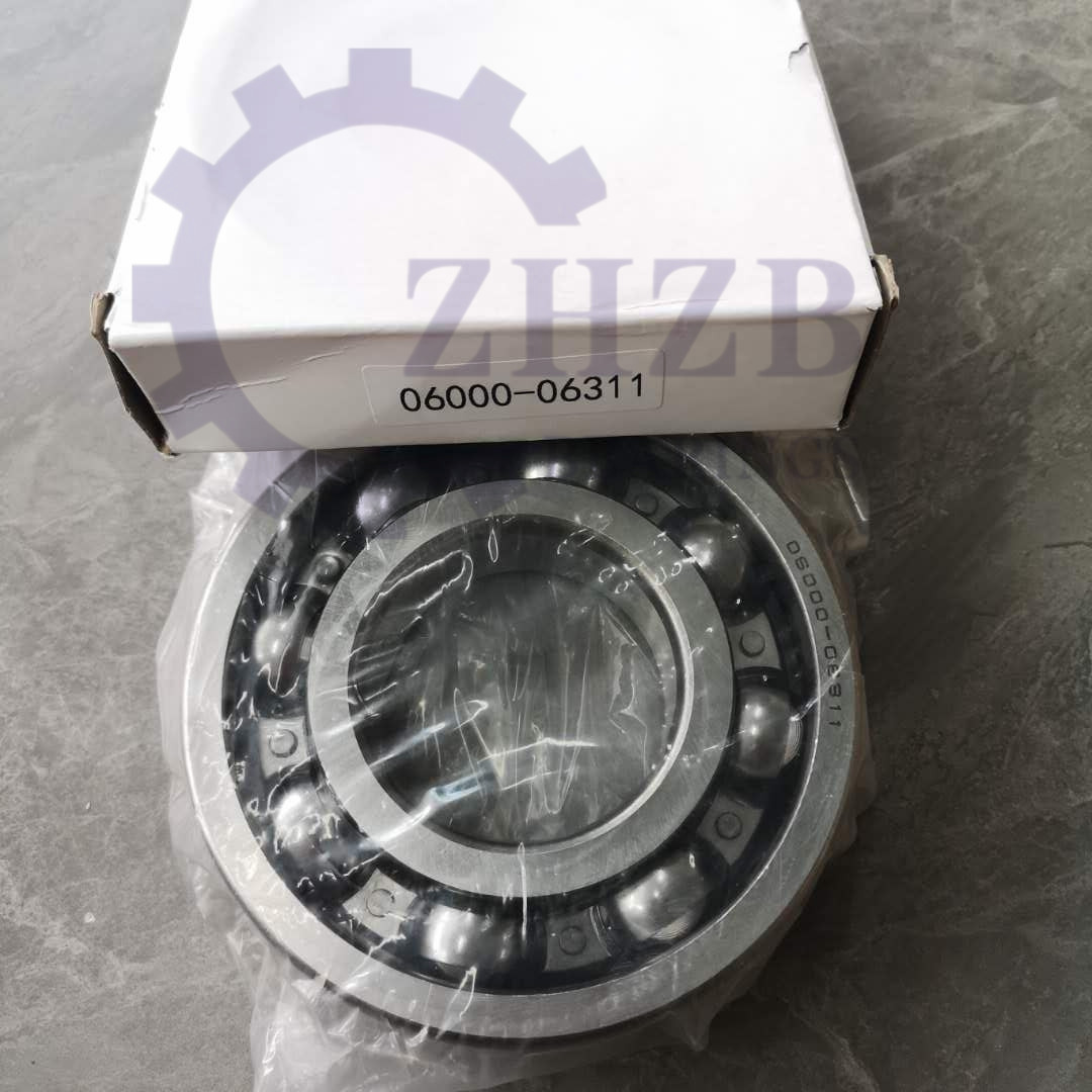 06000-06311 06000-06311