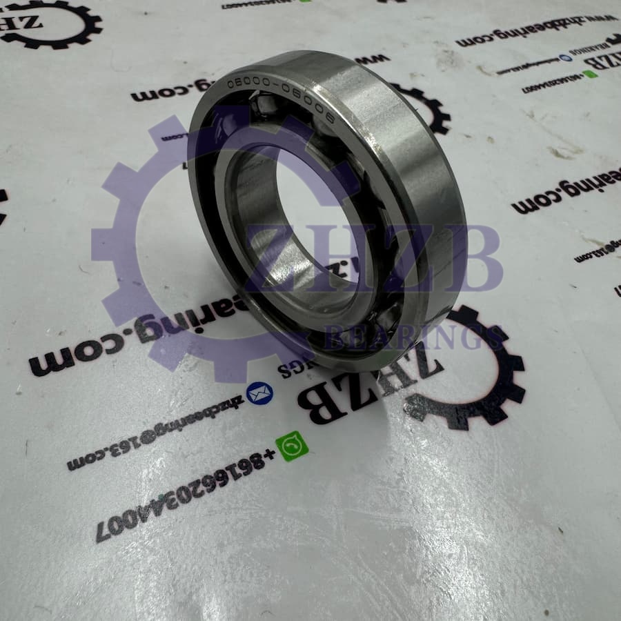 Bearing factory direct sales 0600006006